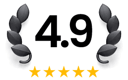 4.9 out of 5 stars