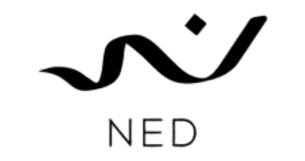 NED INVESTMENTS