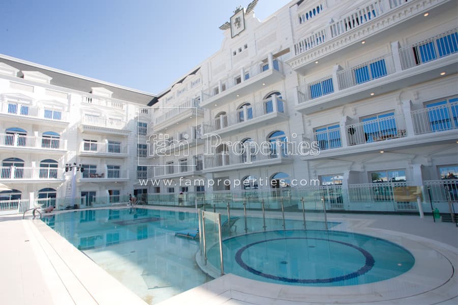 Vincitore Palacio