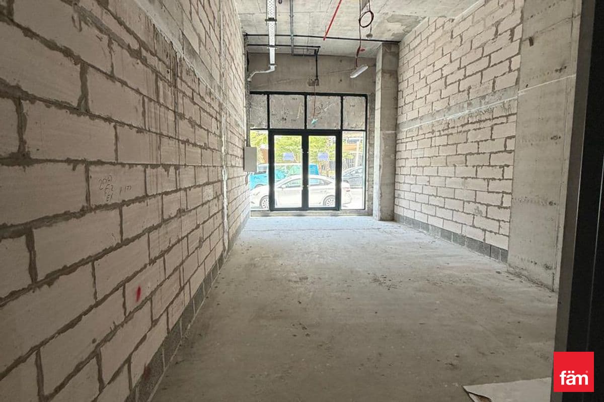 Newly Handed Over | Shell & Core | Park View